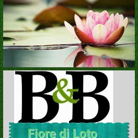 Fiore Di Loto Limatola Buitenkant foto